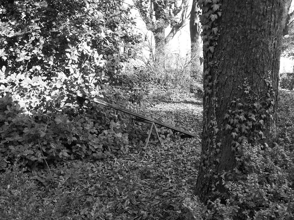Tenuta San Rocco Conzano Exterior photo
